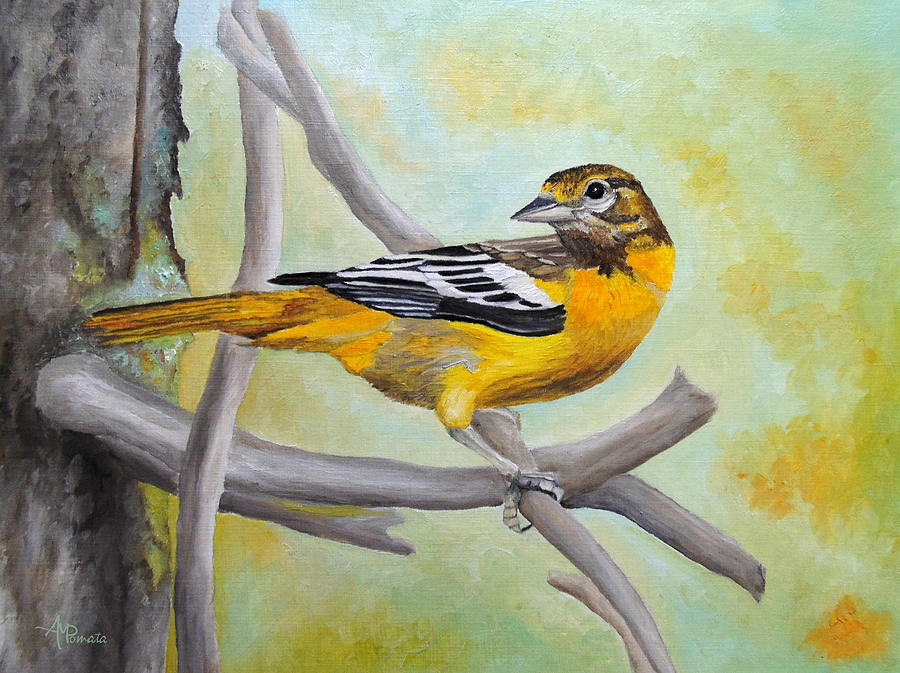 Baltimore Oriole Painting by Angeles M Pomata