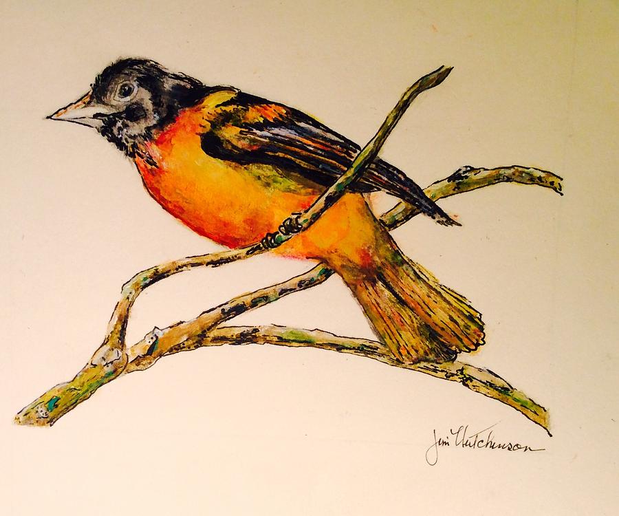 Nature Drawing - Baltimore Oriole by Jim Hutchinson