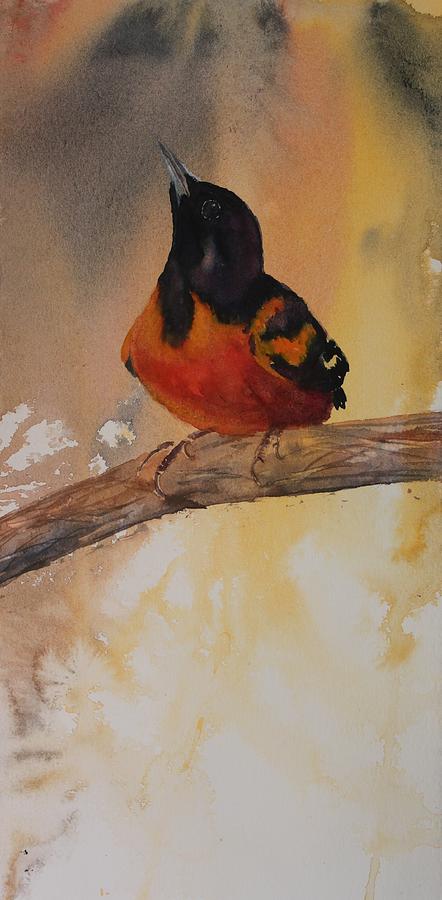 Baltimore Oriole Painting by Ruth Kamenev