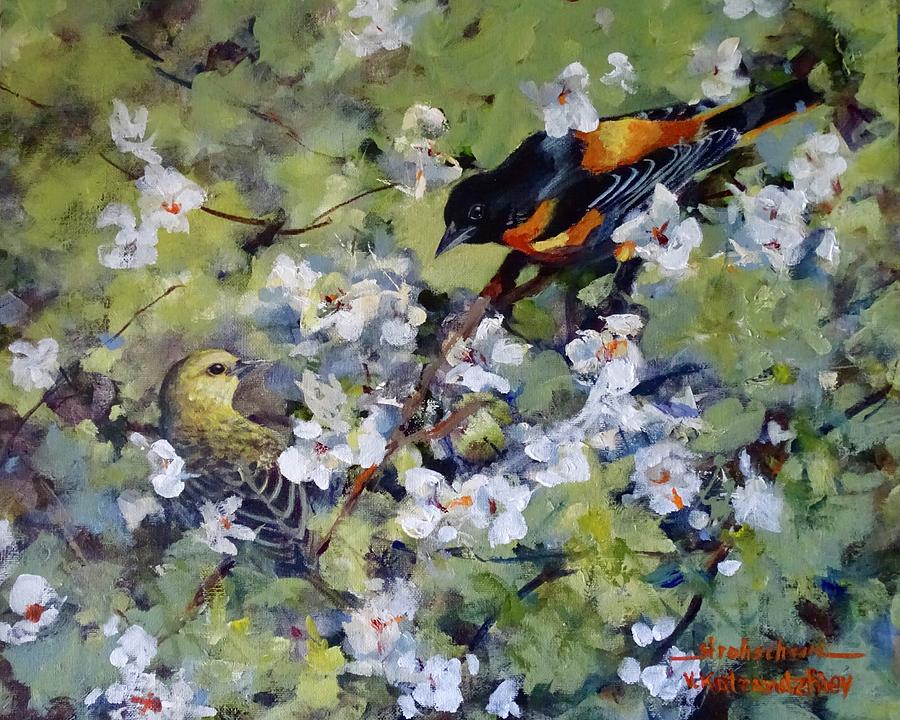 Baltimore Oriole Painting by Sandra Strohschein