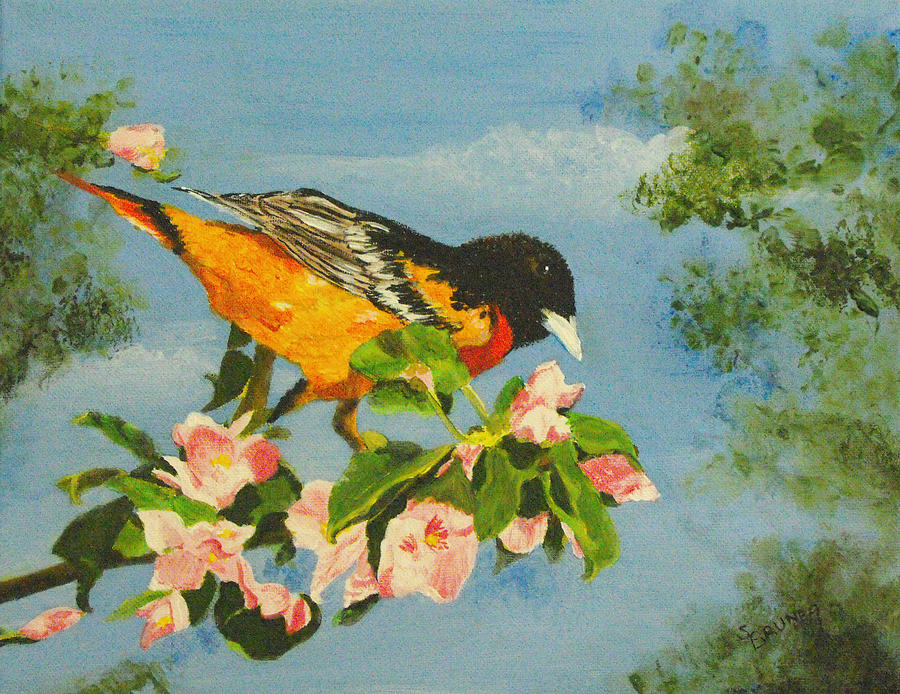 Nature Painting - Baltimore Oriole by Susan Bruner