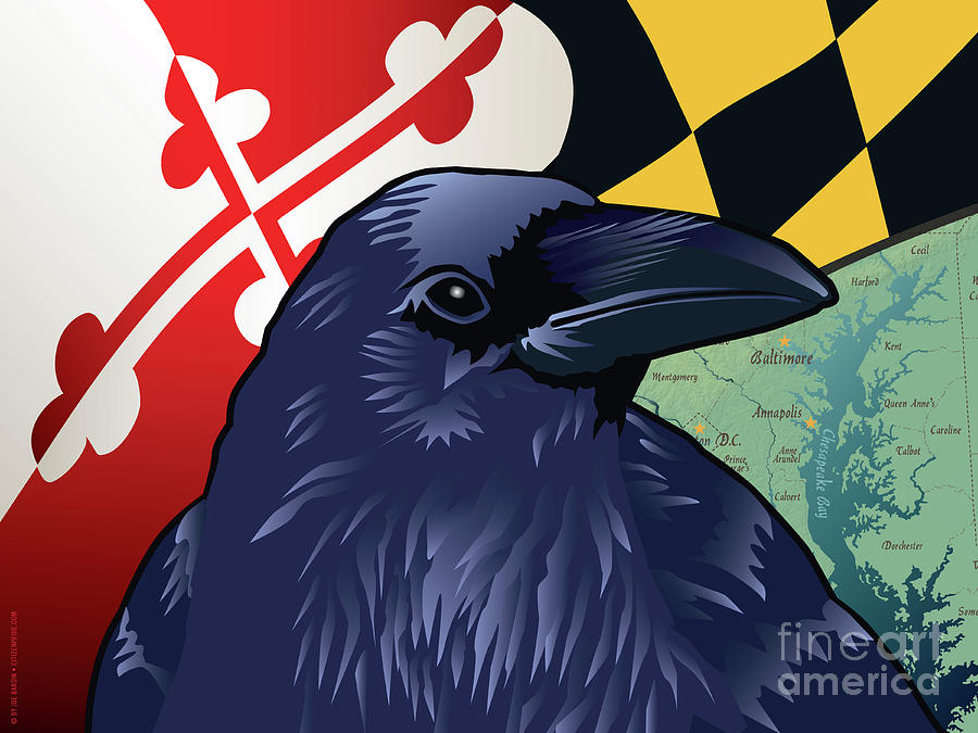 Baltimore Raven of Maryland Digital Art by Joe Barsin
