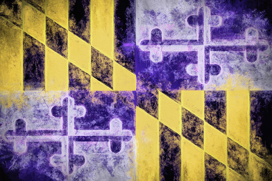 Baltimore Ravens Maryland Flag Digital Art by JC Findley