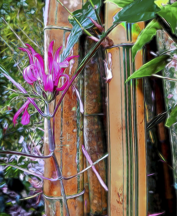 Bamboo and Blossom Digital Art by William Horden
