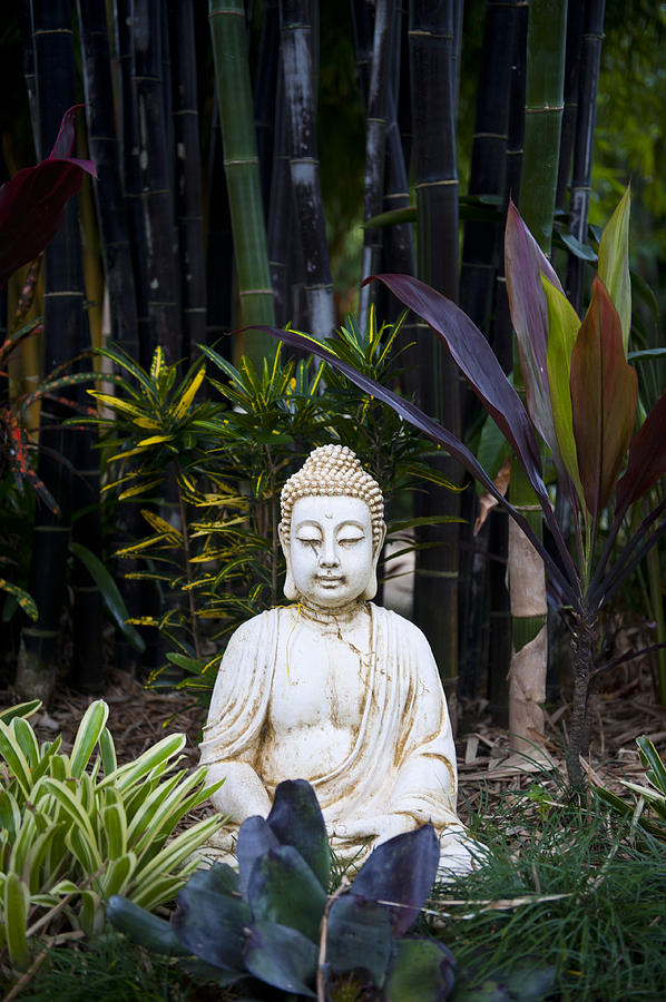 Bamboo and Buddha Photograph by Paul Doody - Fine Art America