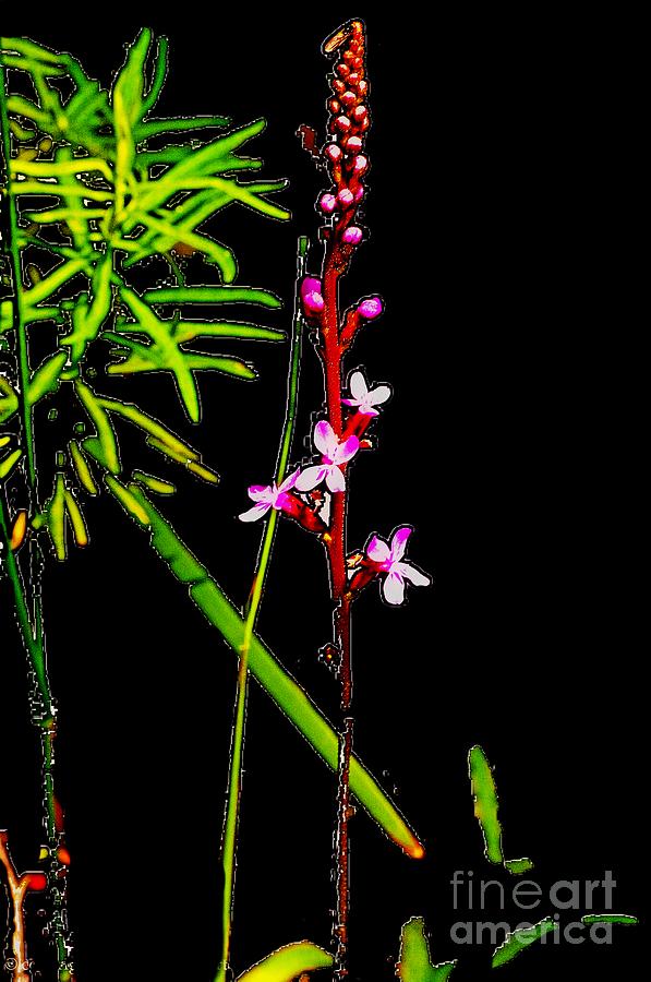 Flowers Still Life Photograph - Bamboo and Flowers by Blair Stuart