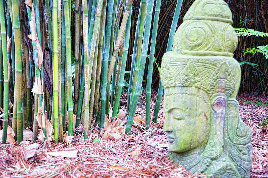 Bamboo Asia Sculpture  Photograph by Chuck Kuhn