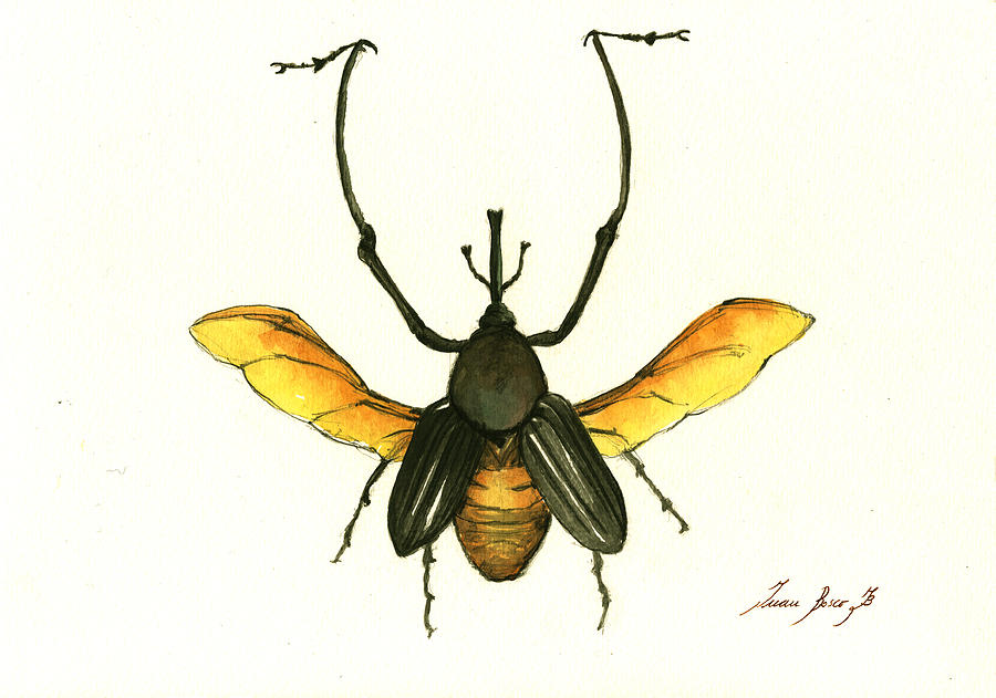 Beetle Painting - Bamboo beetle by Juan Bosco