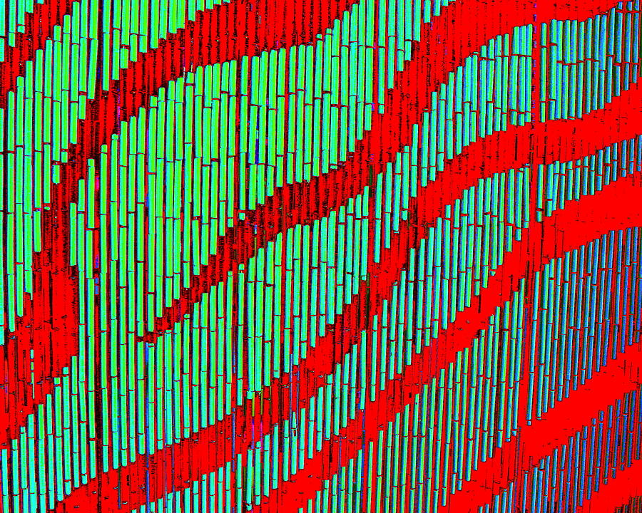 Curtain Digital Art - Bamboo Blight by Larry Beat
