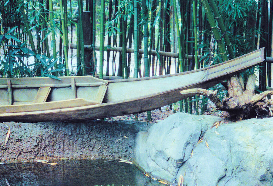Bamboo Boat Photograph by Jan Amiss Photography