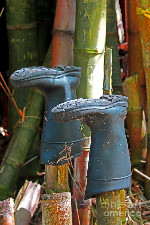 Bamboo Boots Photograph by Jennifer Robin