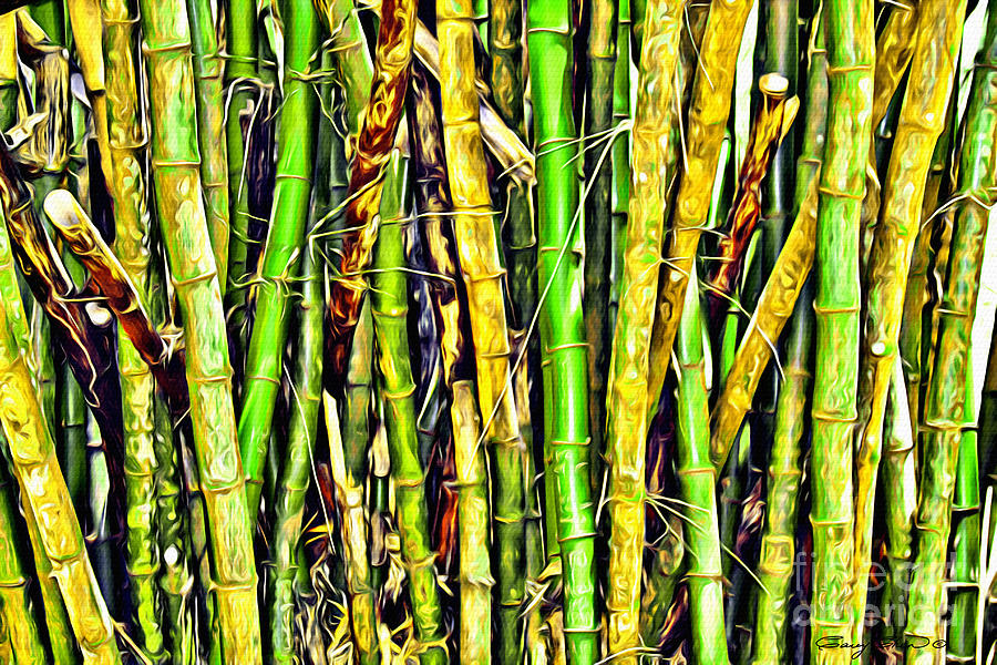Bamboo Photograph by Carey Chen