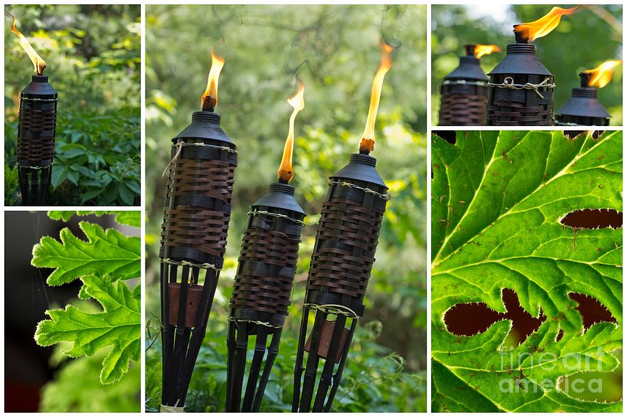 Bamboo Citronella Torch Photograph by Ezume Images - Pixels