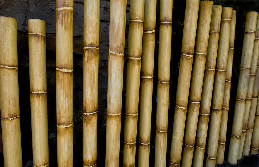 Bamboo fence detail Photograph by Gary Warnimont