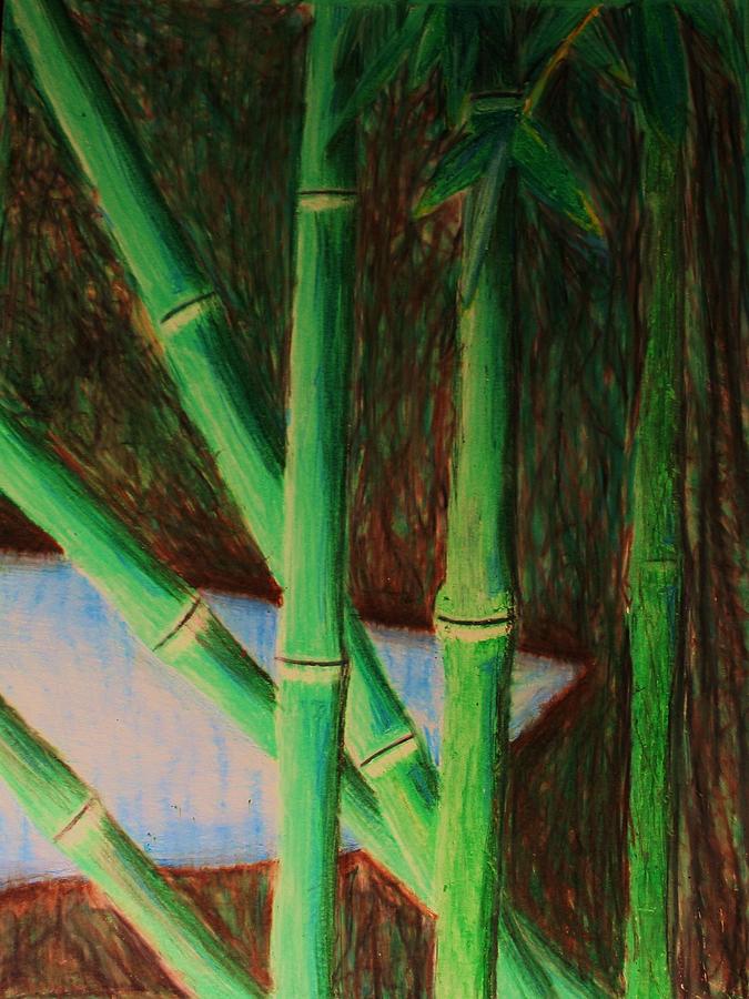 Bamboo Forest Drawing By Bruce Byrnes