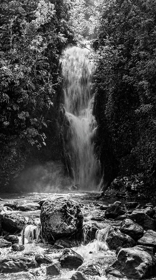 Bamboo Forest Waterfall Photograph by Kelley King