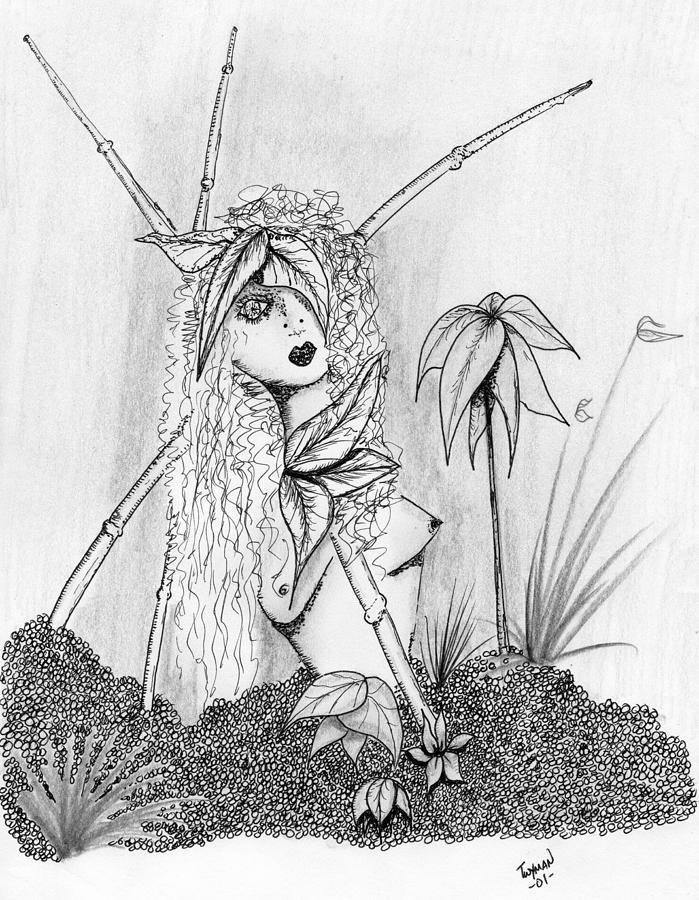 Bamboo Girl Drawing by Dan Twyman