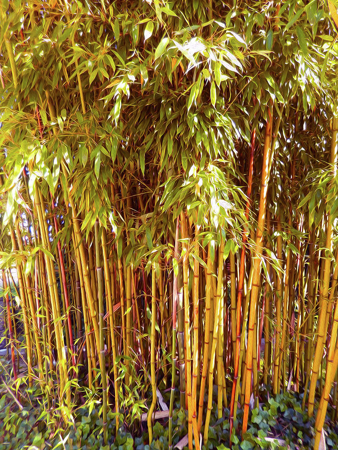 Bamboo Grove Digital Art by Ann Johndro-Collins