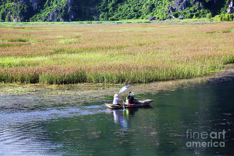 Bamboo raft Van Long Vietnam Photograph by Chuck Kuhn