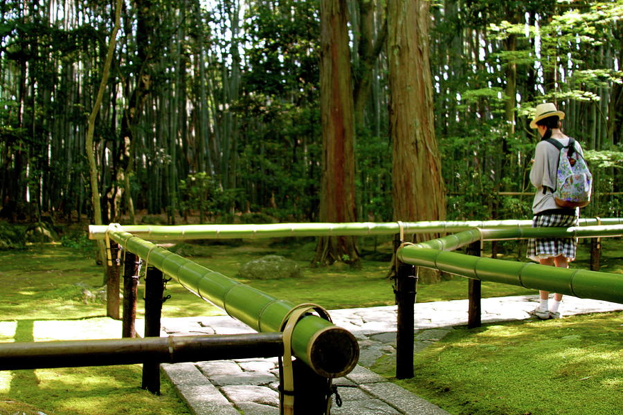 Japan Photograph - Bamboo Railings by Jerry Patterson