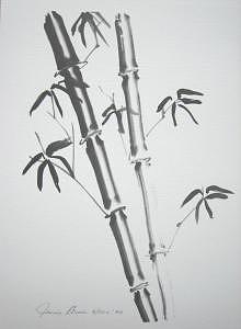 Bamboo Shoots Drawing by Joanie Arvin