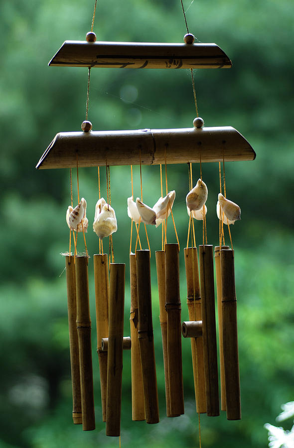 Bamboo Wind Chimes, Hunter Hill, Hagerstown, Maryland, June 10,  Photograph by James Oppenheim