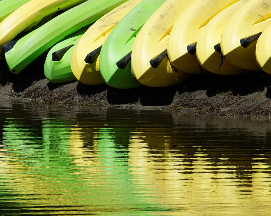 Banana Boats Too Photograph by Darin Volpe