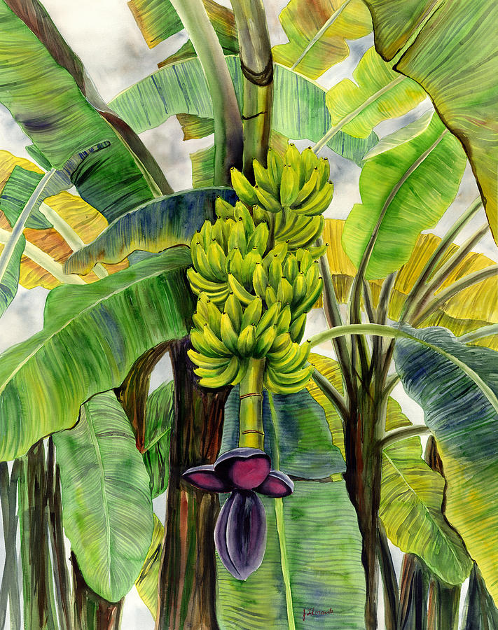 https://images.fineartamerica.com/images/artworkimages/mediumlarge/1/banana-bundle-by-artist-jenny-floravita-jenny-floravita.jpg