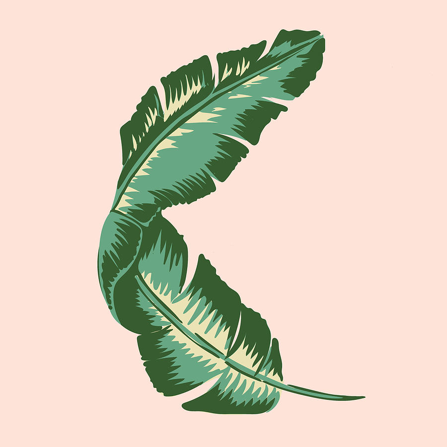 Leaf Digital Art - Banana Leaf Square Print by Lauren Amelia Hughes