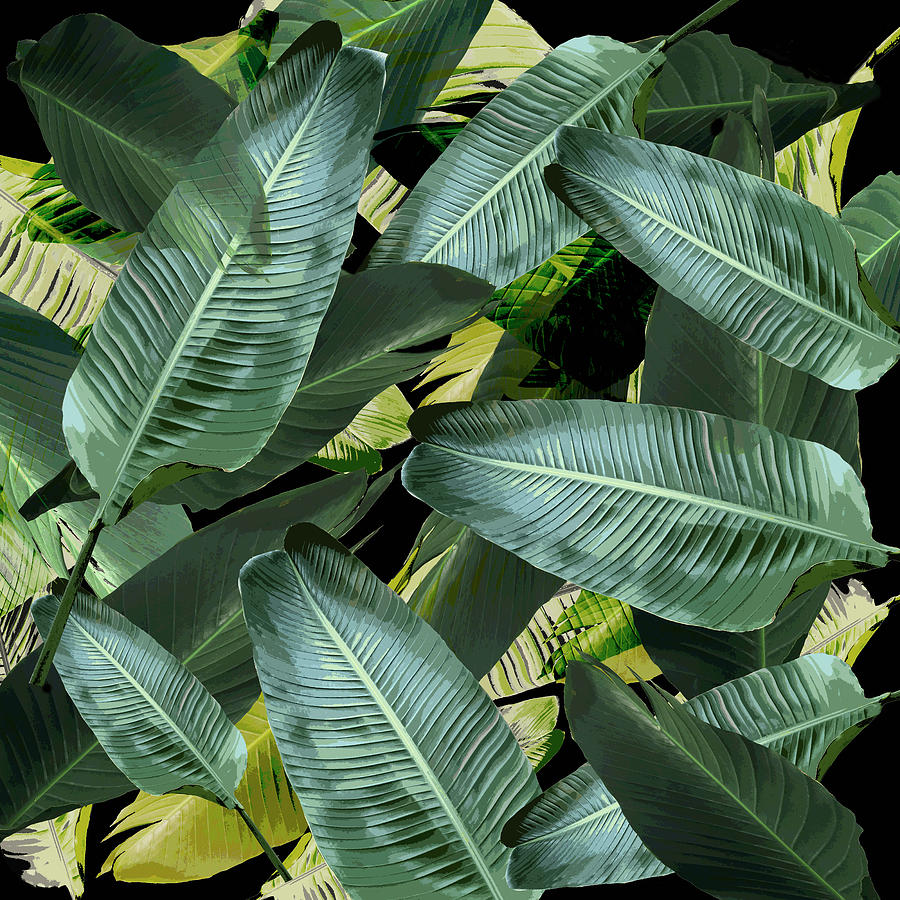Banana Leaf Photograph - Banana leaf tropical palm life by Chrissy Ink