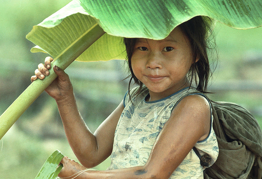 Umbrella Photograph - Banana Leaf Umbrella in Laos by Carl Purcell
