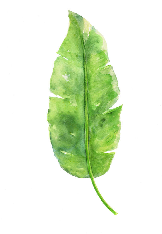 Banana Leaf Watercolor Print Painting by Green Palace