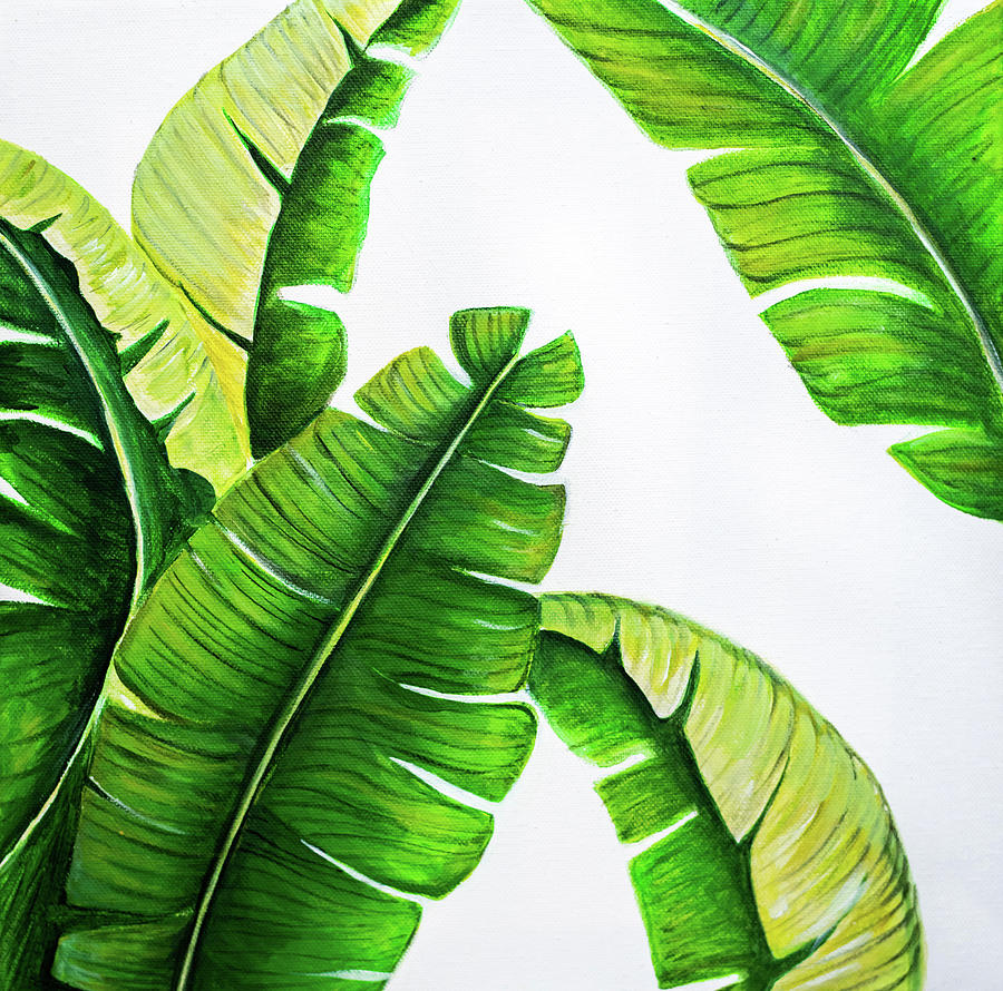 Banana Leaves Painting by Jenifer Kim - Fine Art America