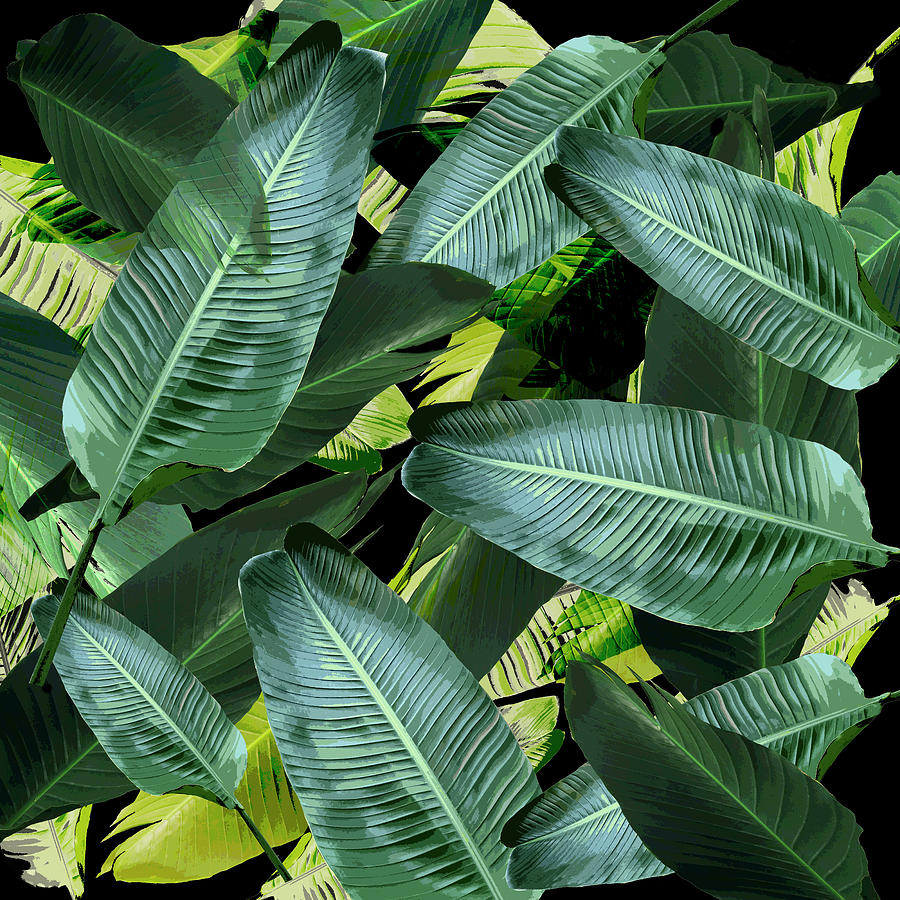 Banana Palm leaf black tropicana by Chrissy Ink