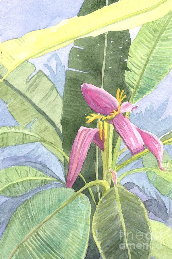 Banana Plant Painting by Anne Marie Brown