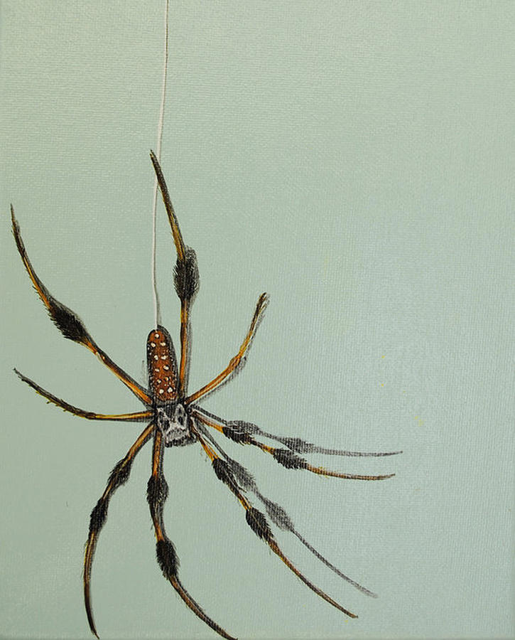 Banana Spider Painting by Jude Labuszewski