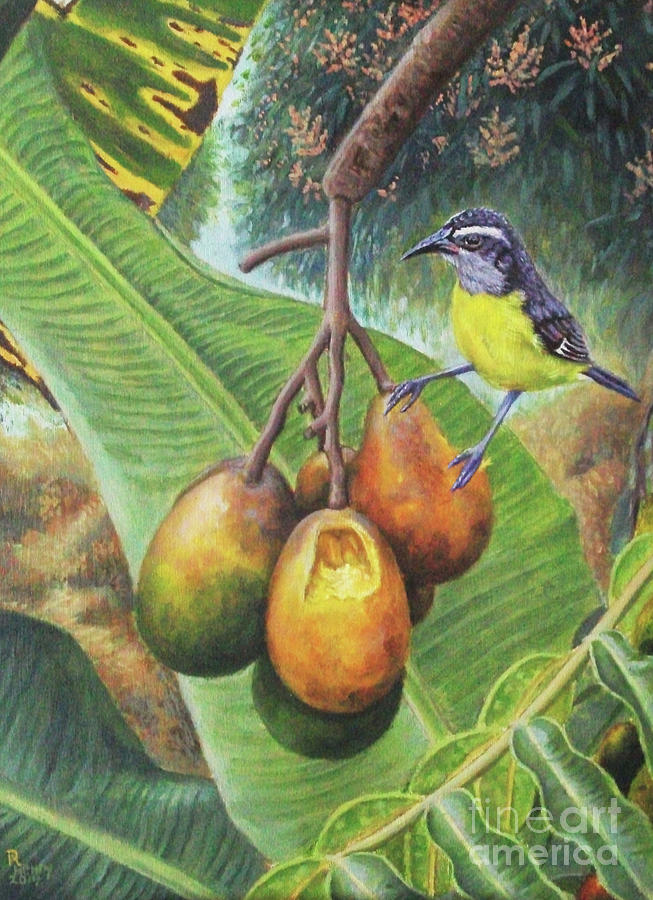 Bird Painting - Bananaquit Breakfast by Ron Henry