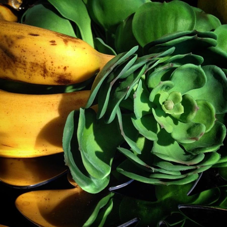 Bananas & Artichokes Photograph by Juan Silva