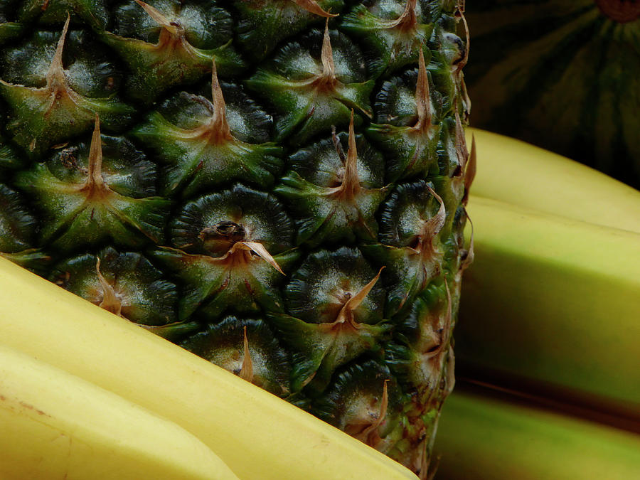 Bananas and Pineapple Still Life Photograph by Marcia Socolik