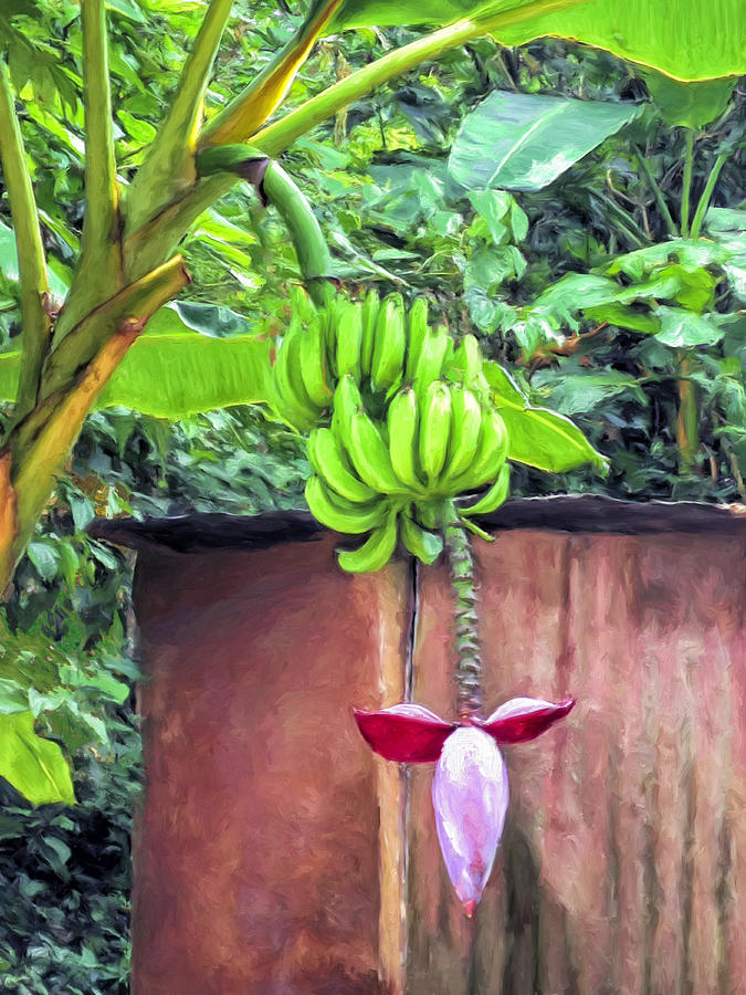 Bananas at Hana Maui Painting by Dominic Piperata