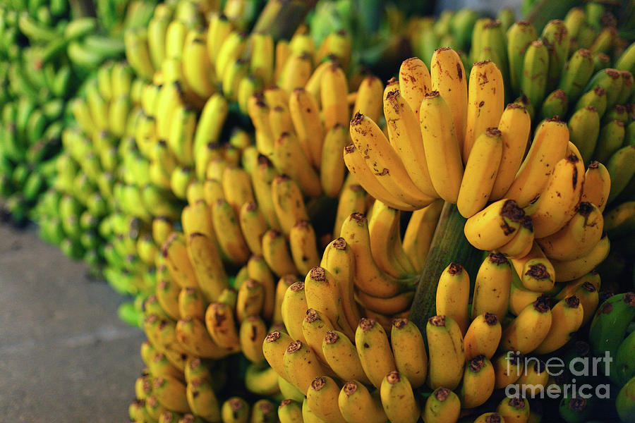 Banana Photograph - Bananas at night by Gaspar Avila