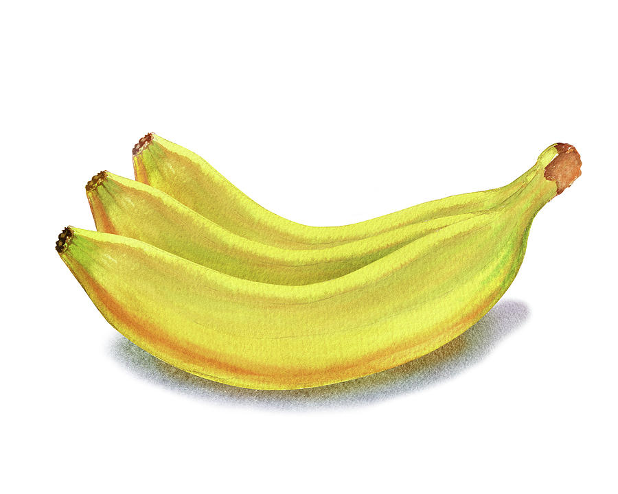 Banana Painting - Bananas Editorial Illustration In Watercolor  by Irina Sztukowski