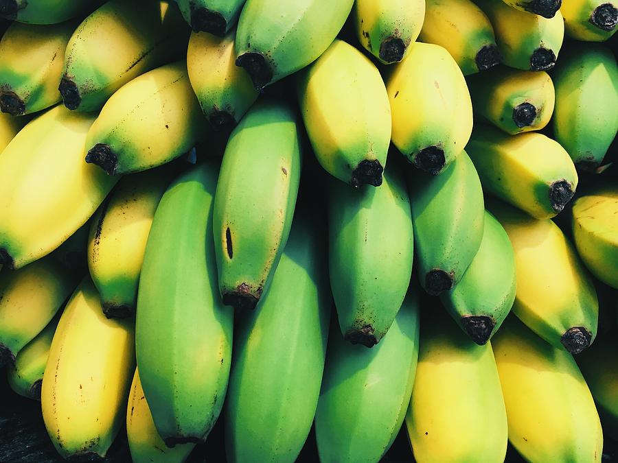 Bananas Photograph