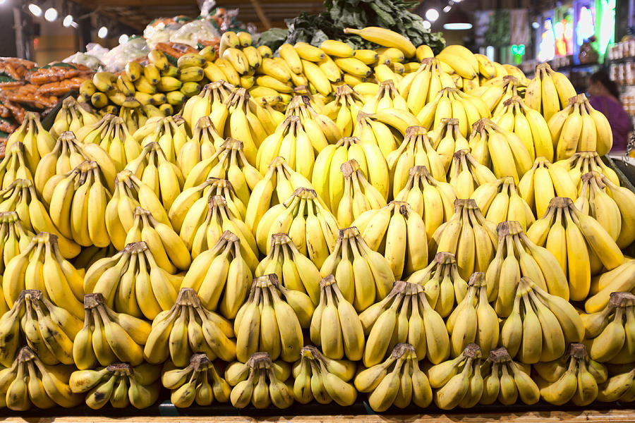 Bananas Photograph by Hugh Smith