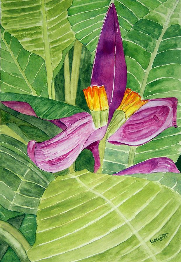 Flower Painting - Bananas In October by Larry Wright