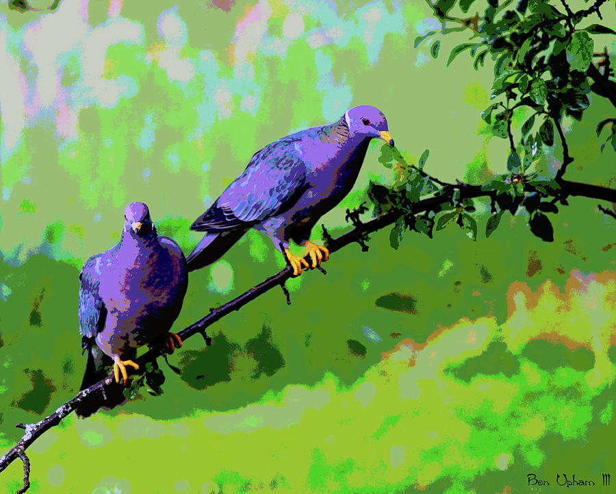 Band-Tailed Pigeons Art #1 Photograph by Ben Upham III