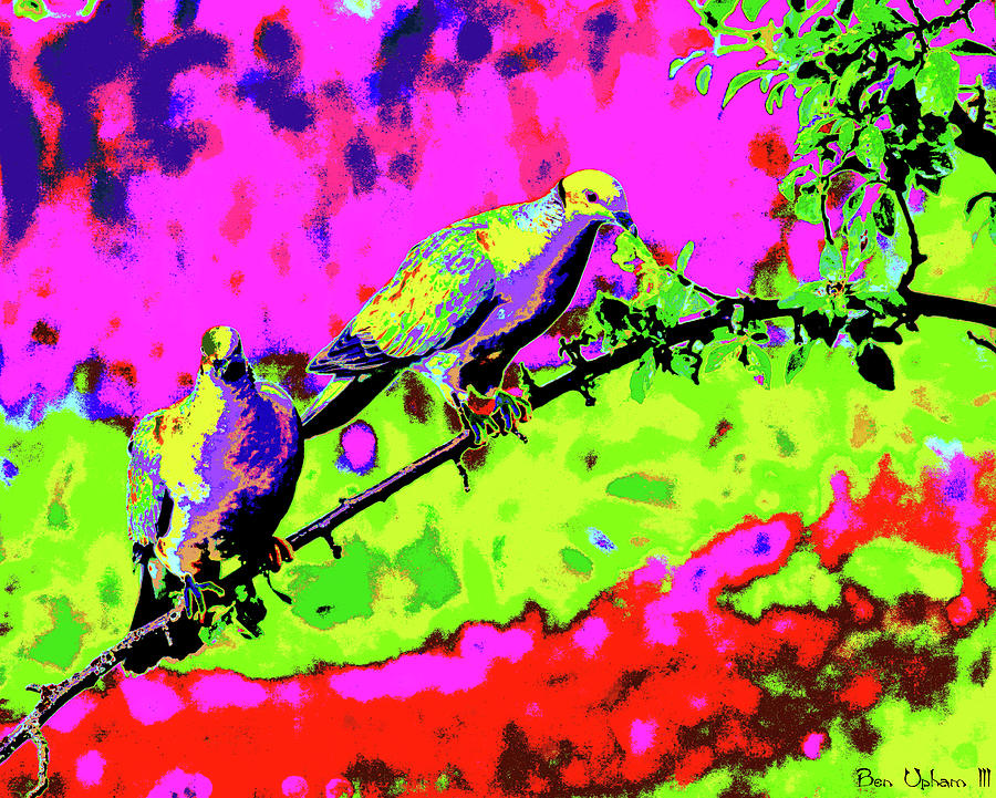 Band-Tailed Pigeons Art #2 Photograph by Ben Upham III