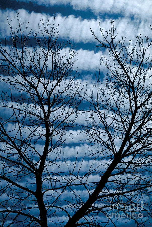 Landscape Photograph - Banded Clouds by Gary Ladd