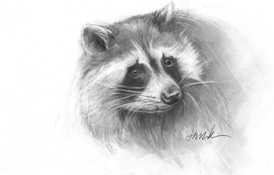 Animal Drawing -  Bandit the Raccoon by Jacki Kellum