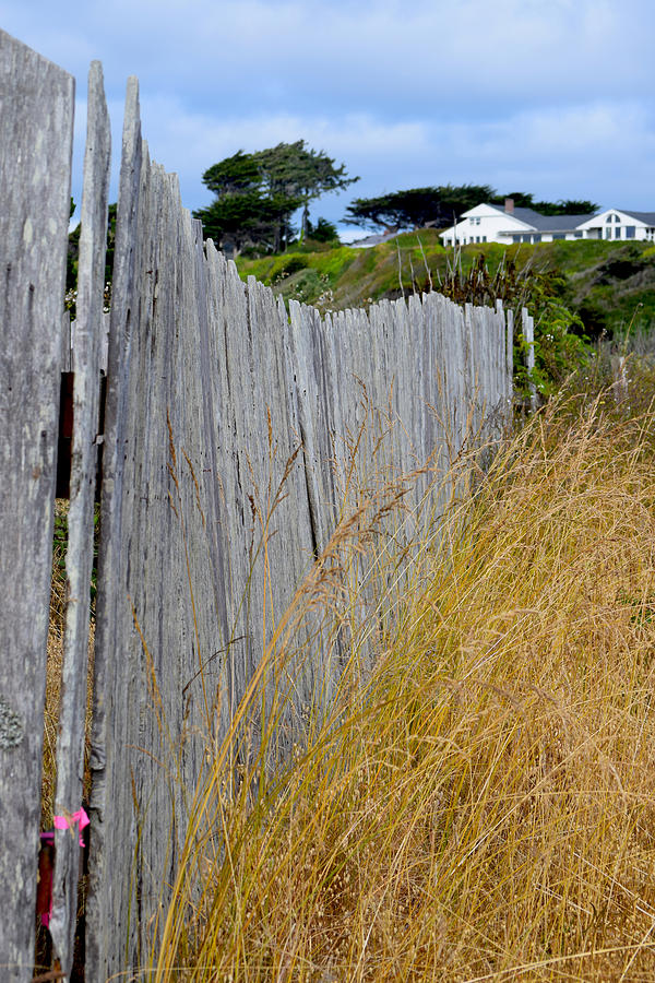 Bandon Beach Fence Photograph